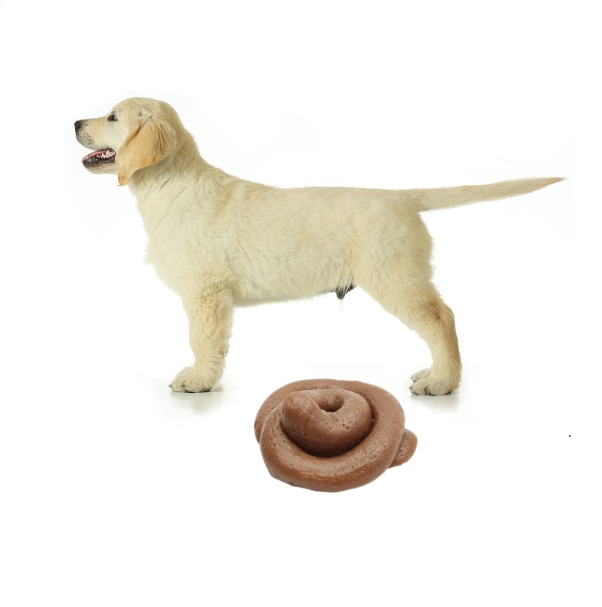 面白いいたずら用うんちスクイーズ玩具 - 巨大でリアルな偽う - Fake Poop Gag Gift のレビューと価格