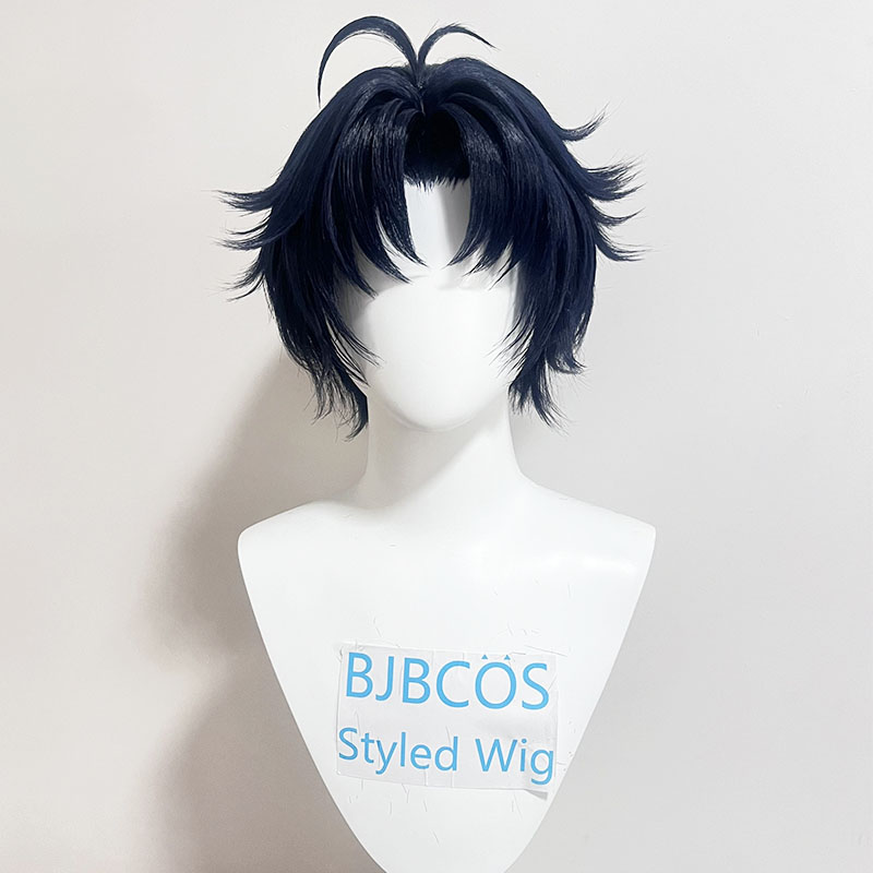 【スタイリング済みウィッグ】朝巴春馬 コスプレウィッグ ZZ - Anime Cosplay Wig Heat Resistant のレビューと価格
